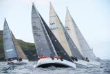warrior gbr1429l animal gbr3627l ceol beag gbr1642l taz gbr3081l whyw16 thur 800 3135w